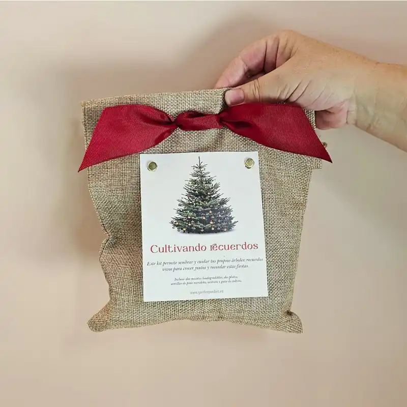 Envío Internacional Kit de Cultivo Pino Navideño