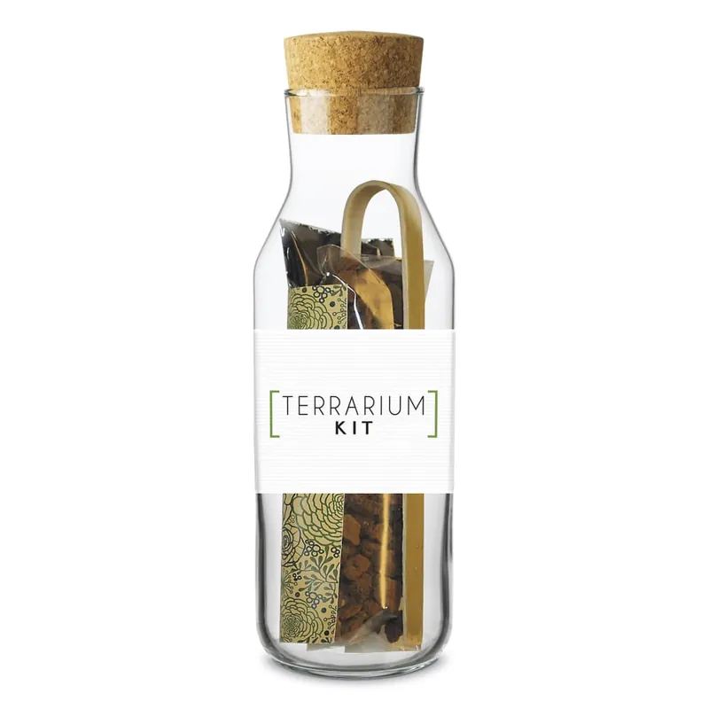 Súper Precio Kit Cultiva tu propio terrario vertical