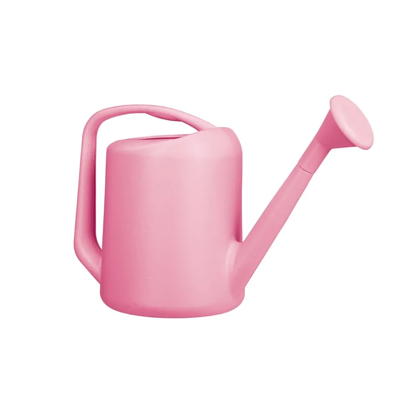 Regadera Medium magenta Económico