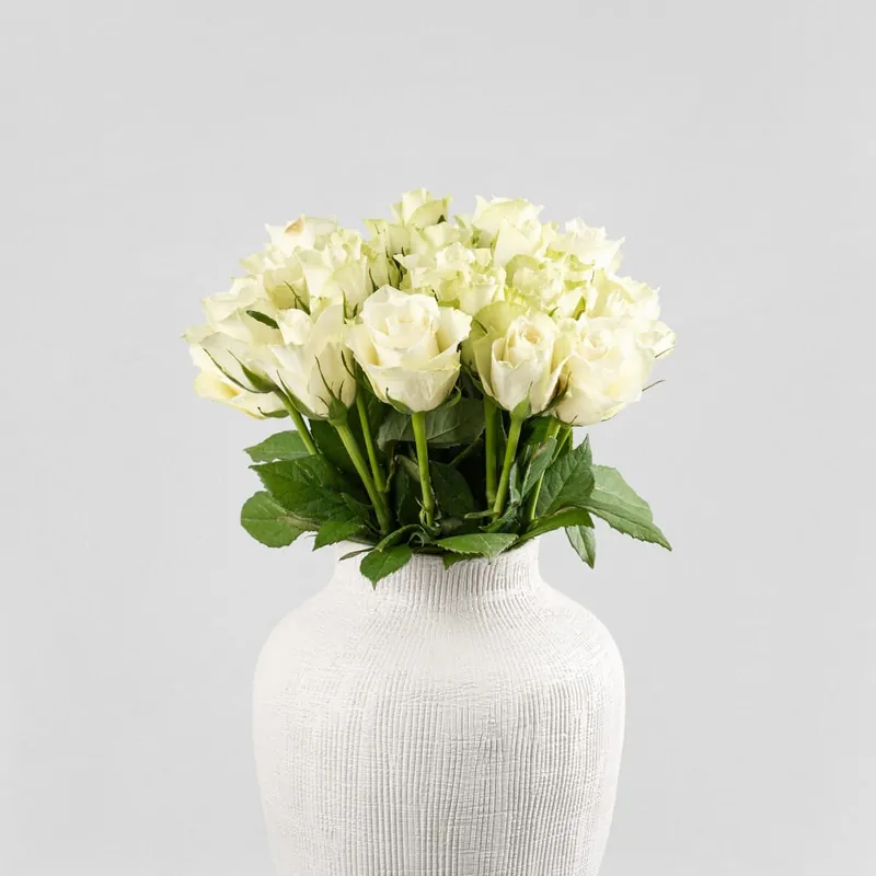 Ramillete de Mini Rosas Blancas Disponible Ahora
