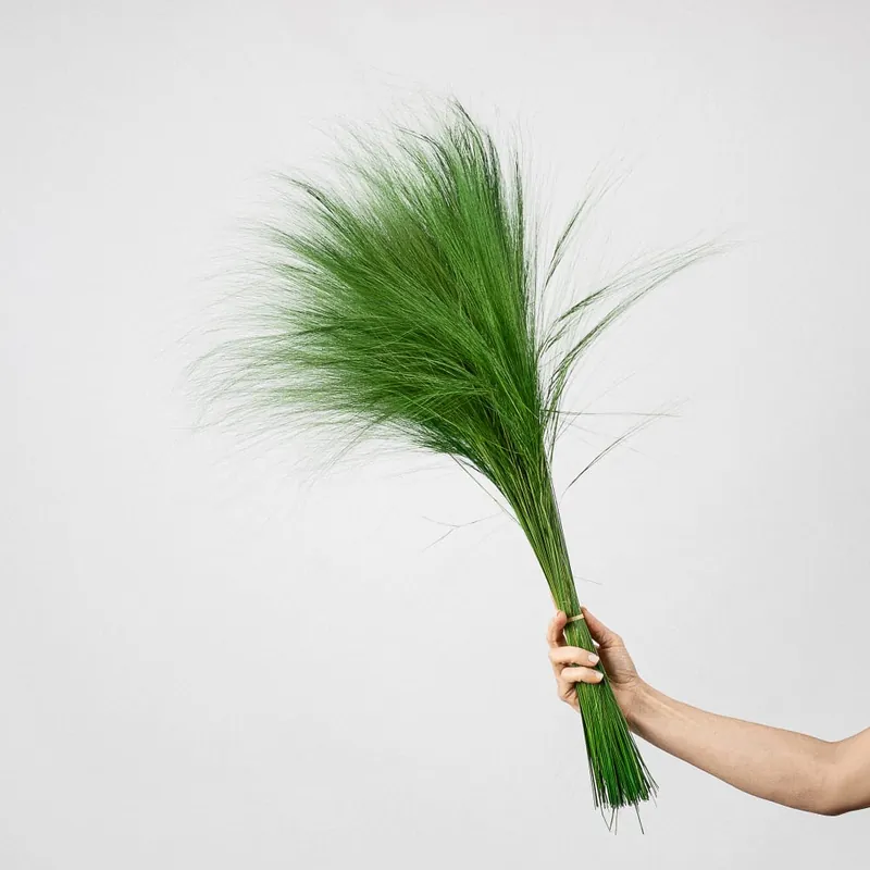 Ramillete Preservado de Gramíneas verde Auténtico