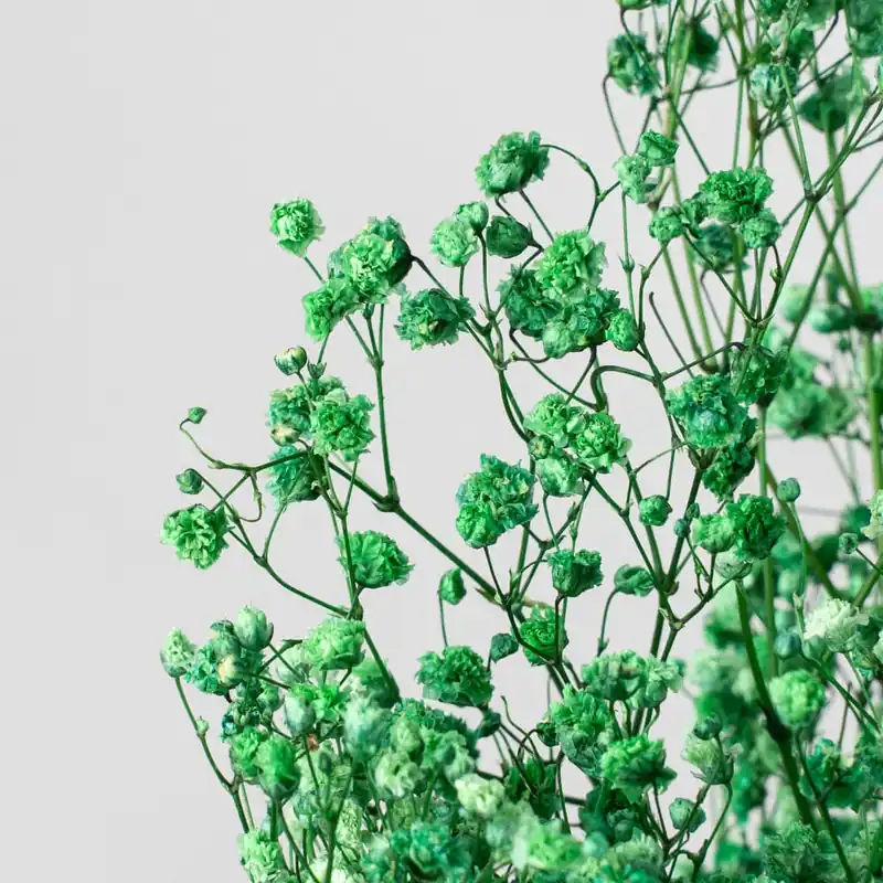 Oferta Flash Ramillete Preservado de Paniculata Million Daisy verde