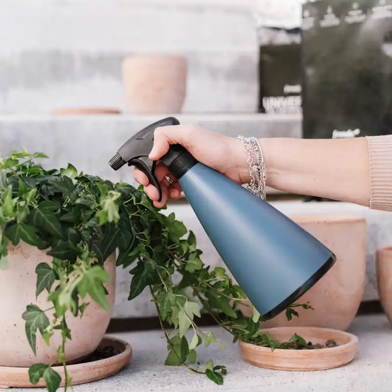 Envío Gratis Vaporizador Garden Club Marine Epoca