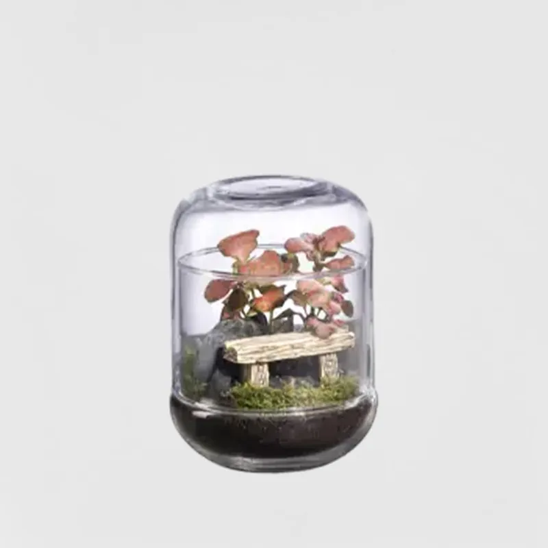 Barato Terrario plantas Terra Capsule Landscape
