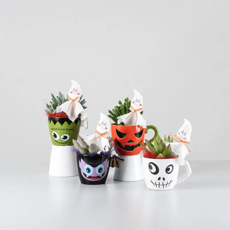 Precio De Fábrica Taza decorativa con Echeveria - Especial Halloween