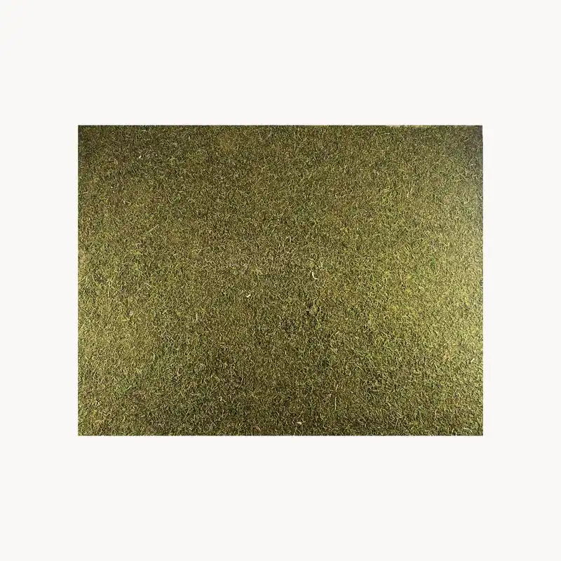 Mejor Precio Tapiz de musgo 60×45 cm para Belén