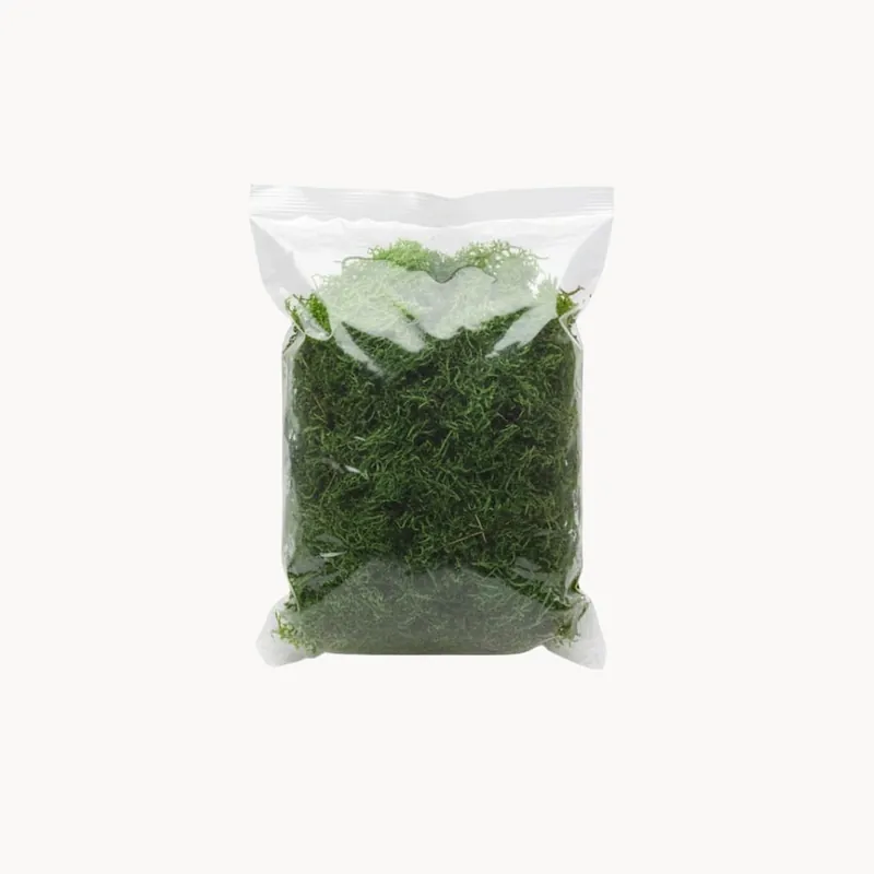De Moda Musgo verde decorativo 50 g para Belén