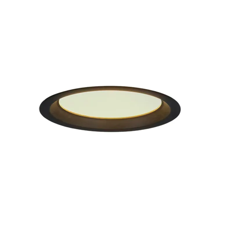 Profesional NEXIA HOLP L Downlight Negro