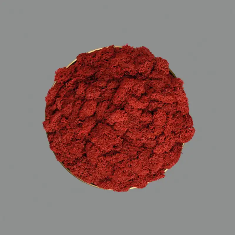 ACB DISCO CHAMALEON Musgo Rojo Premium