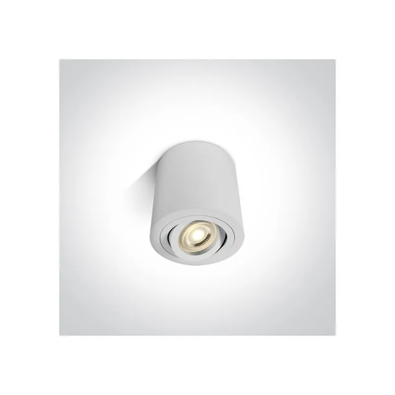 Última Versión ONE LIGHT Foco Orientable Ø95 Blanco