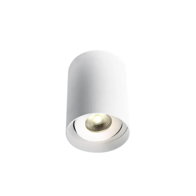 Tendencia ONE LIGHT Plafón Led Orientable 10w