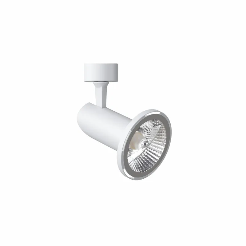 BENEITO FAURE Picolo AR111 Proyector de Superficie Promoción