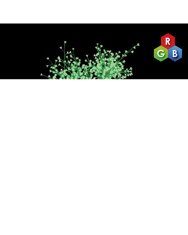 Barato Árbol Cherry Blossom RGB de 1,8 metros con 800 luces LED IP44 24V