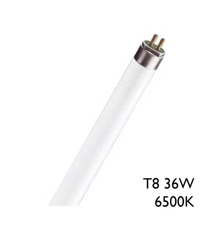 Tubo fluorescente 36W T8 120cm 6500K F36T8/D Moderno