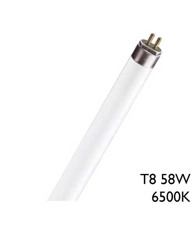 Tubo fluorescente 58W T8 150cm 6500K F58T8/D No Te Lo Pierdas