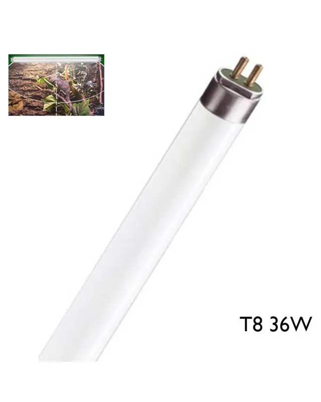 Tubo fluorescente para terrarios (con componente UV) 36W T8 59cm F36T8/TL Envío Internacional