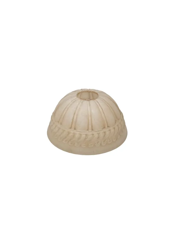 Mayoreo Tulipa Beige Egipto