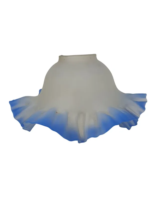 Marca Reconocida Tulipa Alcazaba Filo Azul