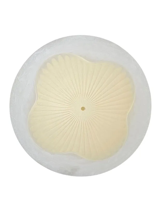 Entrega Rápida Plato de 50 Blanco Espiga