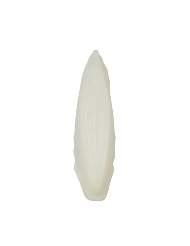 Tulipa Hoja Beta Beige Envío Gratis