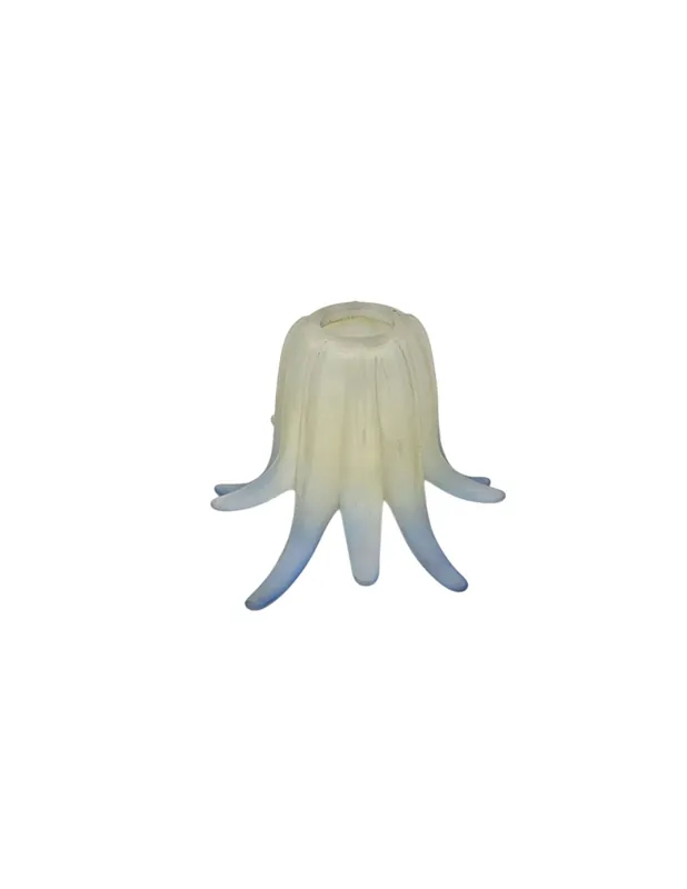 Tulipas Medusa de Cristal Filo Azul Precio Económico