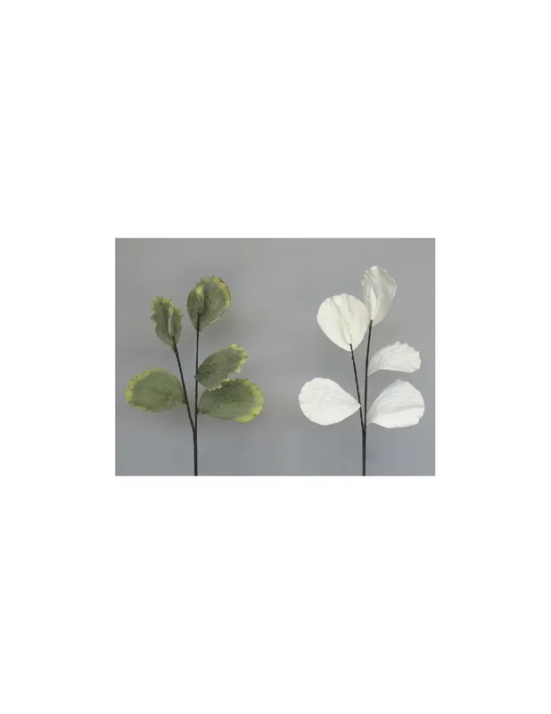 Precio Reducido Vara Hoja Lotus Blanca