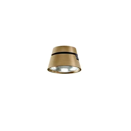 Precio De Fábrica Vantage 1 Lámpara de Techo 2700K Brass - LIGHT-POINT