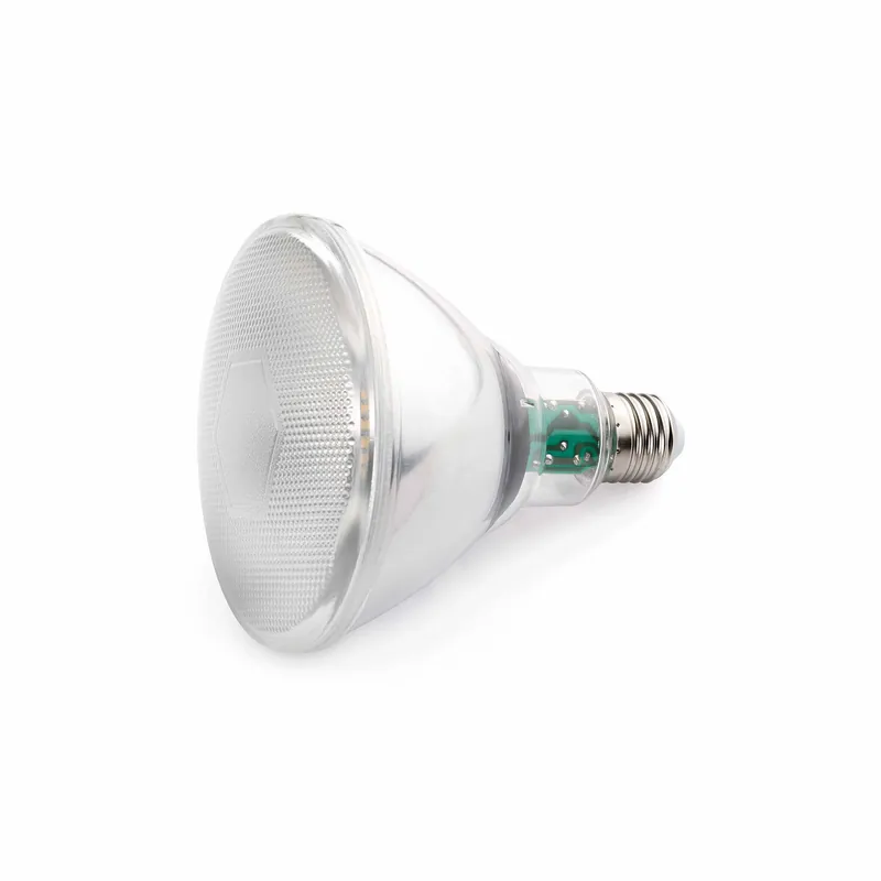 Faro Par 38 17400 Bombilla LED Par 38 blanco frío Moderno