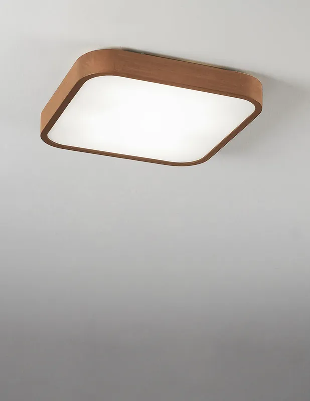 Pago Seguro Plafón Nature Filo Madera