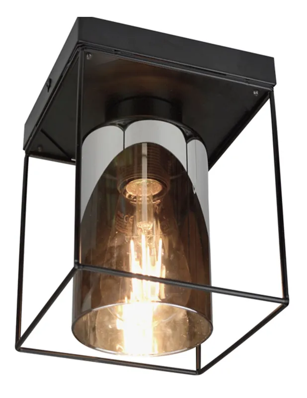 Alta Calidad Jaula Plafón de Techo Negro Tulipa Cristal