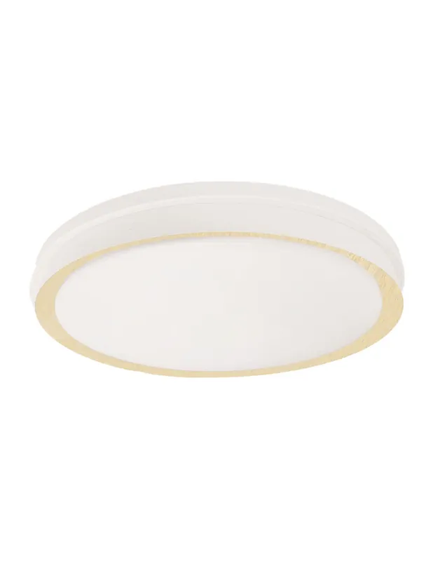 Oferta Especial Plafón Led Blanco Haya Con Mando