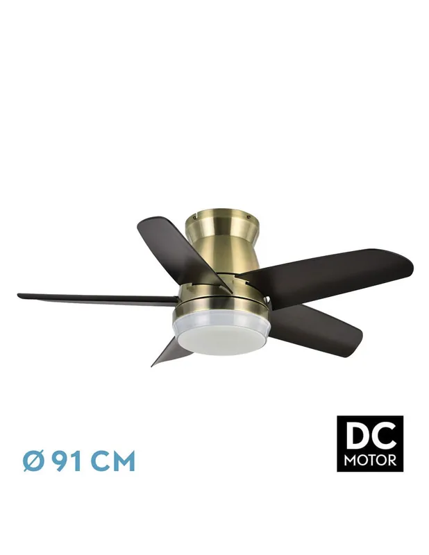 Neutrón Ventilador 5 Aspas Cuero Negro Imprescindible (Must-Have)