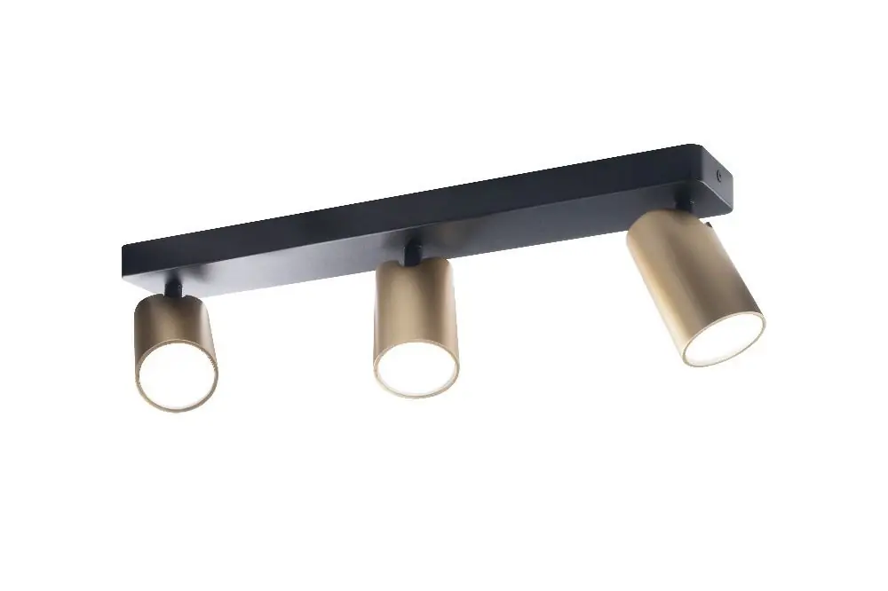 Promoción Exclusiva REGLETA 3L SAL ORO