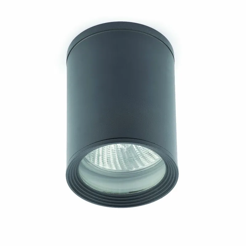 Solo Por Tiempo Limitado TASA PLAFON GRIS OSCURO 1L PAR30 75W