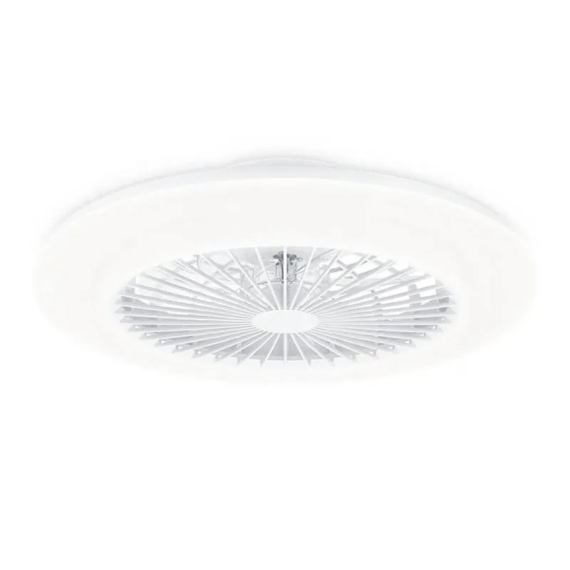 Ventilador de techo Amigo LED DC Ø58cm + mando - Philips Liquidación