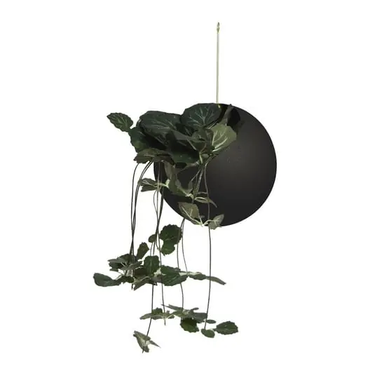 Última Versión Globe Maceta Ø17xH28 Black/Gold - AYTM