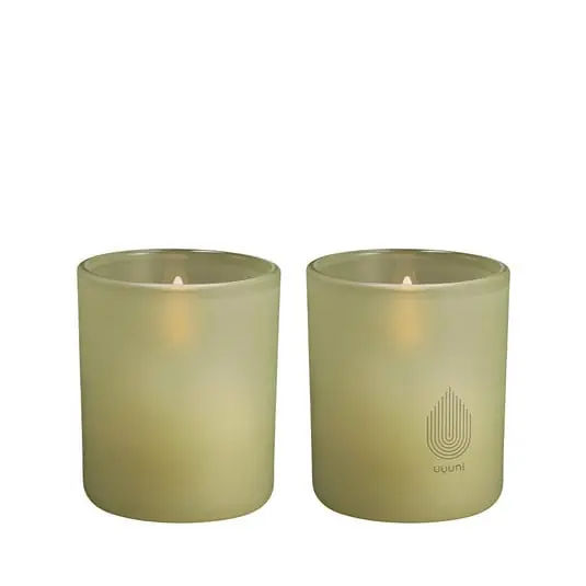 Precio Reducido vidrio Claro 2-pack 6x7 cm Light Green Leaf - Uyuni Lighting