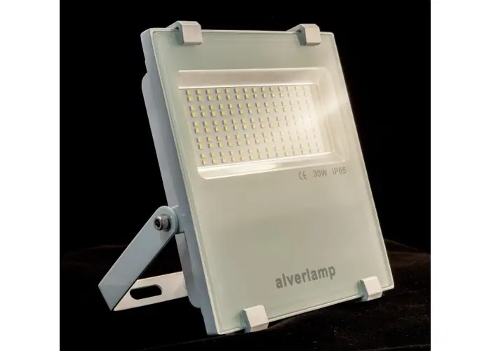 PROYECTOR LED 30W 4000K BLANCO Lujoso